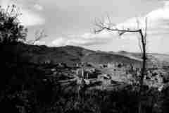 ���� ������ ��� ��� ����